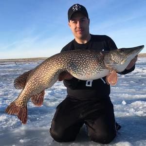 Meet your Posher, Franco